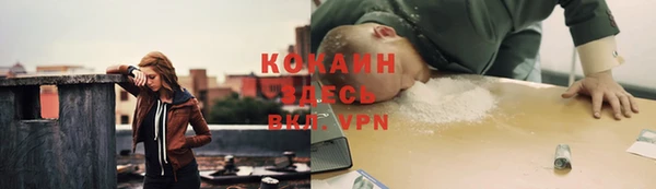 дживик Белоозёрский