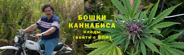 дживик Белоозёрский