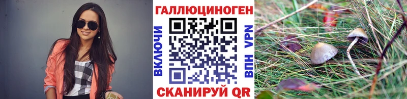 Галлюциногенные грибы Cubensis Сердобск
