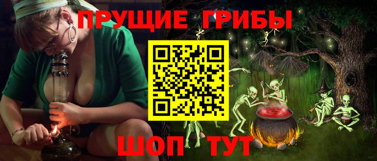 Галлюциногенные грибы Psilocybine cubensis Сердобск