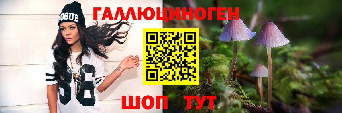 Галлюциногенные грибы ЛСД  Вход с VPN  Сердобск 